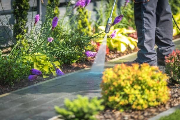 Best Roof Washing  in Whittingham, NJ