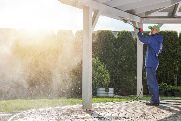 Best Solar Panel Cleaning  in Whittingham, NJ